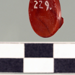 245598