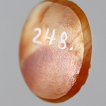 245636
