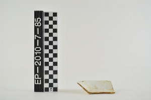 EP-2010-7-85