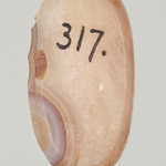 247068
