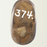247119
