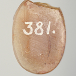 247198