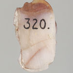 247216