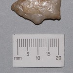 248050