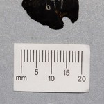 248250