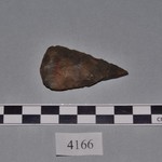 248561