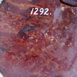 249462