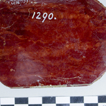 249526