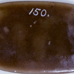 249543