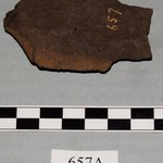 250407