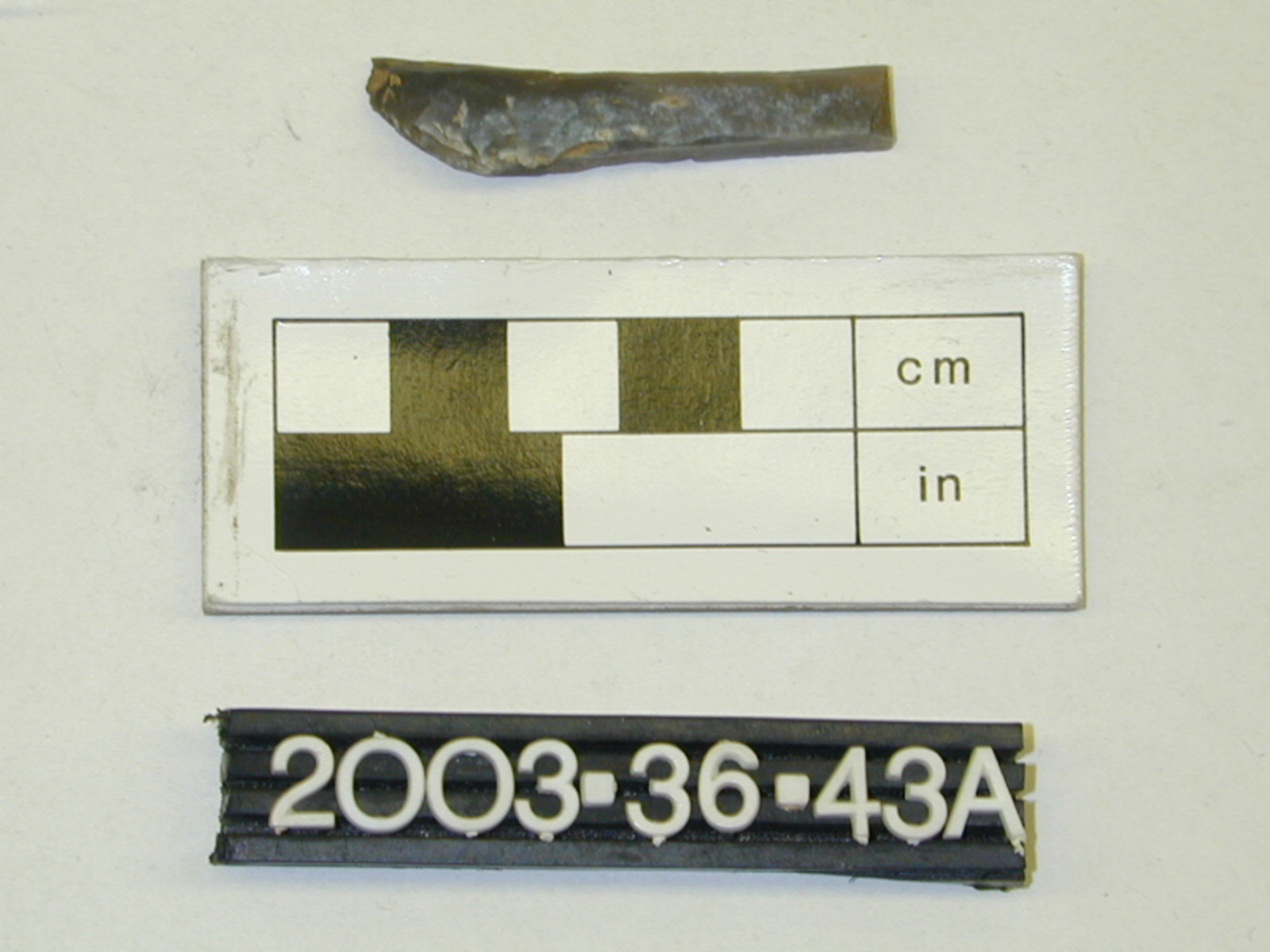 253402