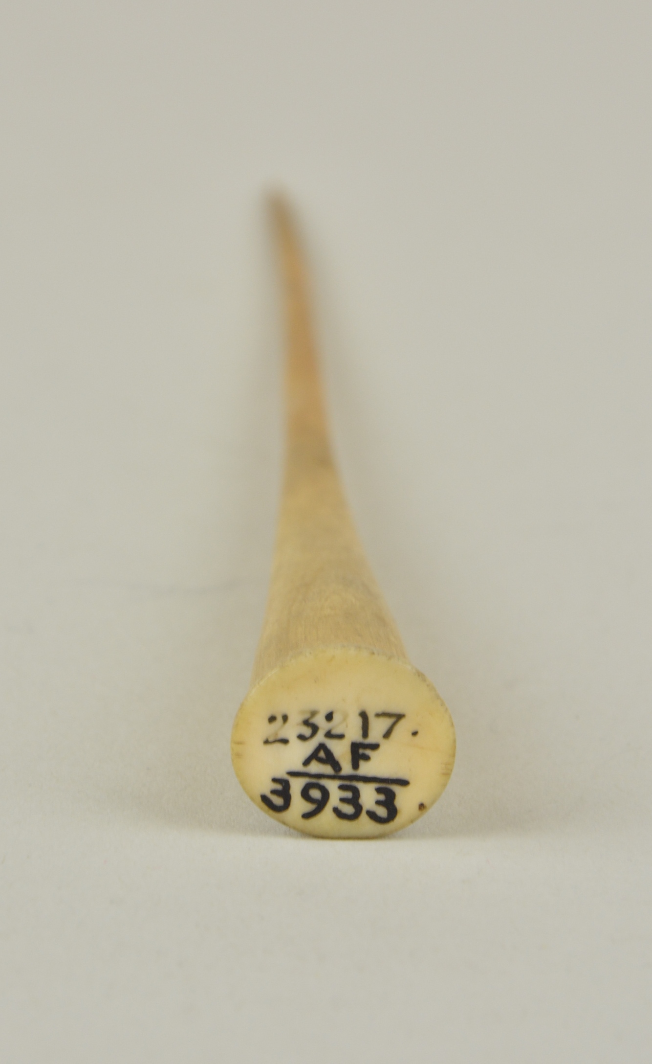 256337