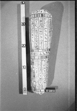 E12619