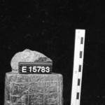 263254