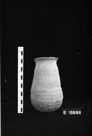 E15886