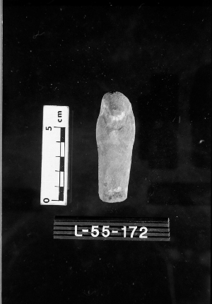 L-55-172