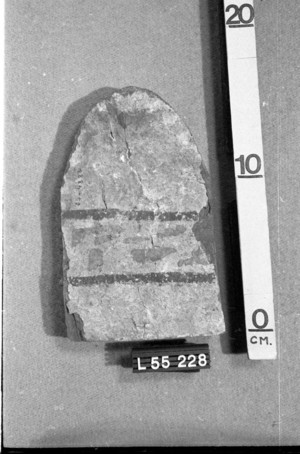 L-55-228