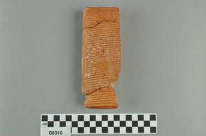CBS8316
