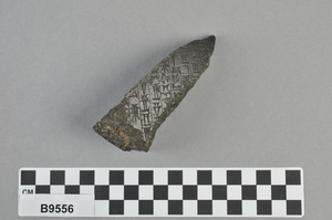 B9556