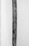 264998