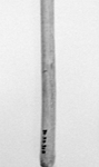 265461