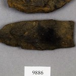 265469