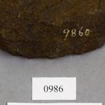 265481