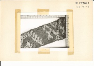 E17061