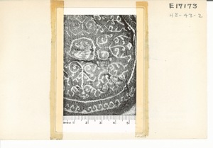 E17173