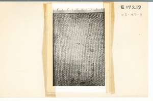 E17219
