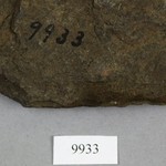 267544