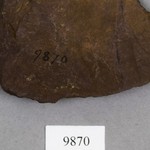 267558