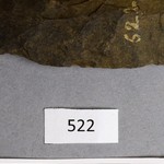 267603