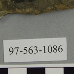 267699