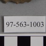 267716