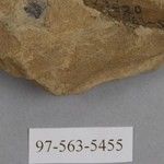 267746