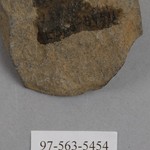 267751