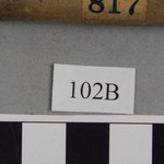 267764