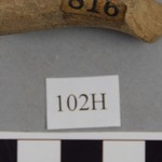 267786