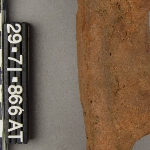 272049