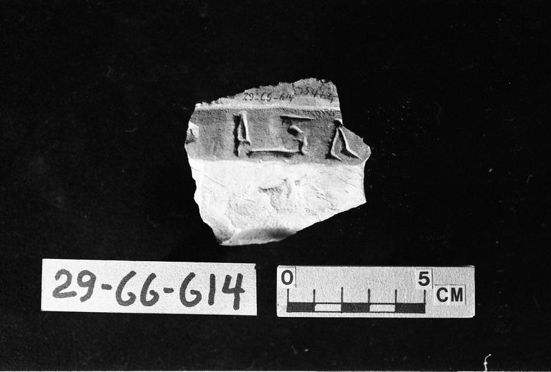 273041