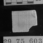 273167