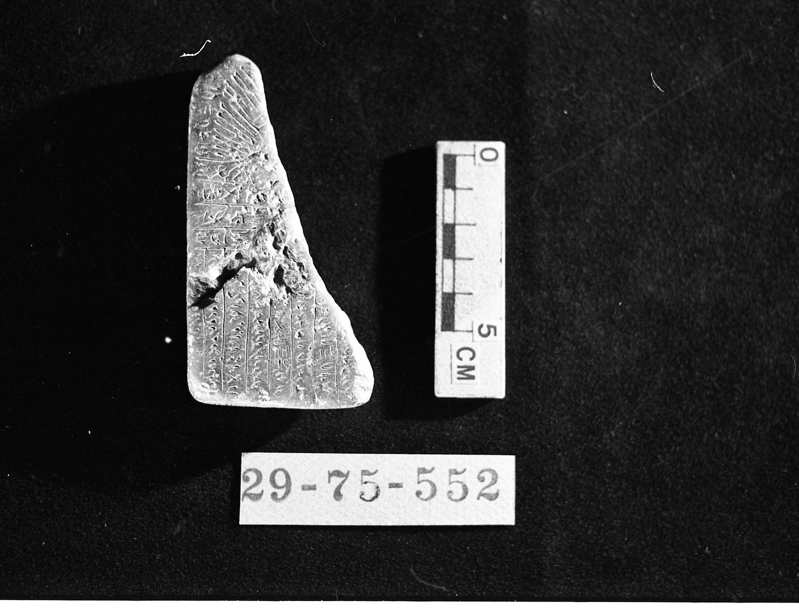 273241