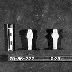 273301