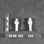 273304
