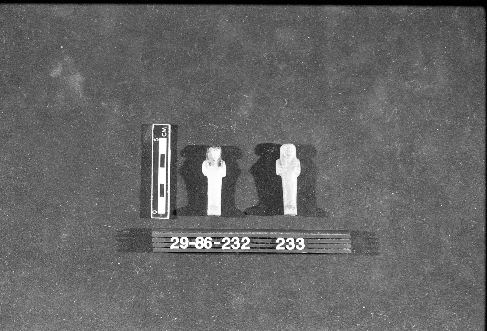 273304