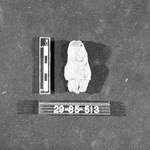 273306