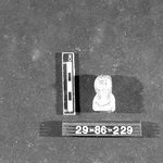 273312