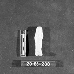 273359