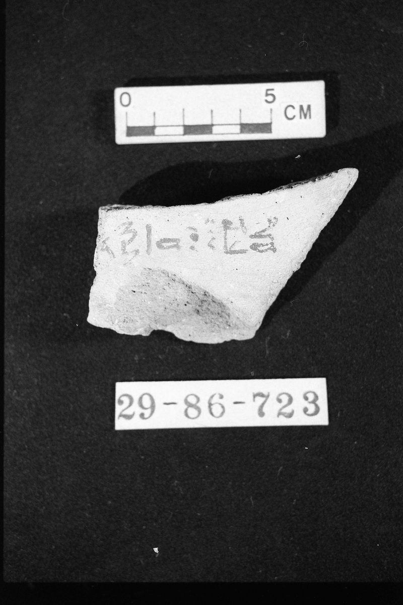 273516